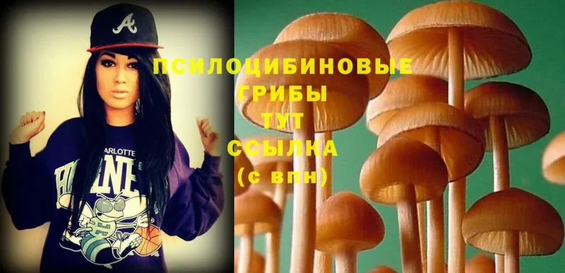 Псилоцибиновые грибы Magic Shrooms  Мамадыш 